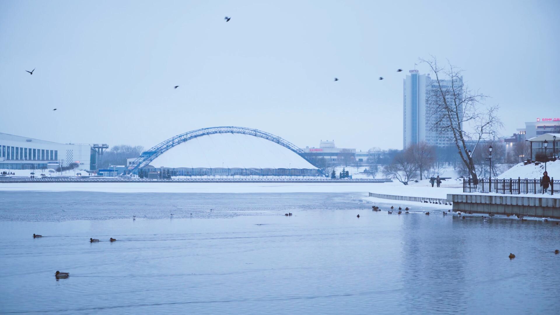 清晨朦胧天气湖泊河流积雪消融鸭子戏水视频的预览图