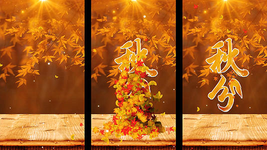 唯美的秋分落叶片头AE模板视频的预览图