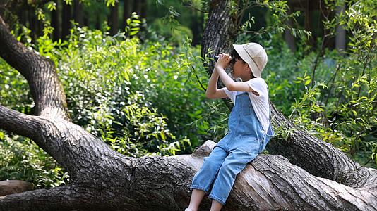 男孩坐在树干上用望远镜看向远方视频的预览图