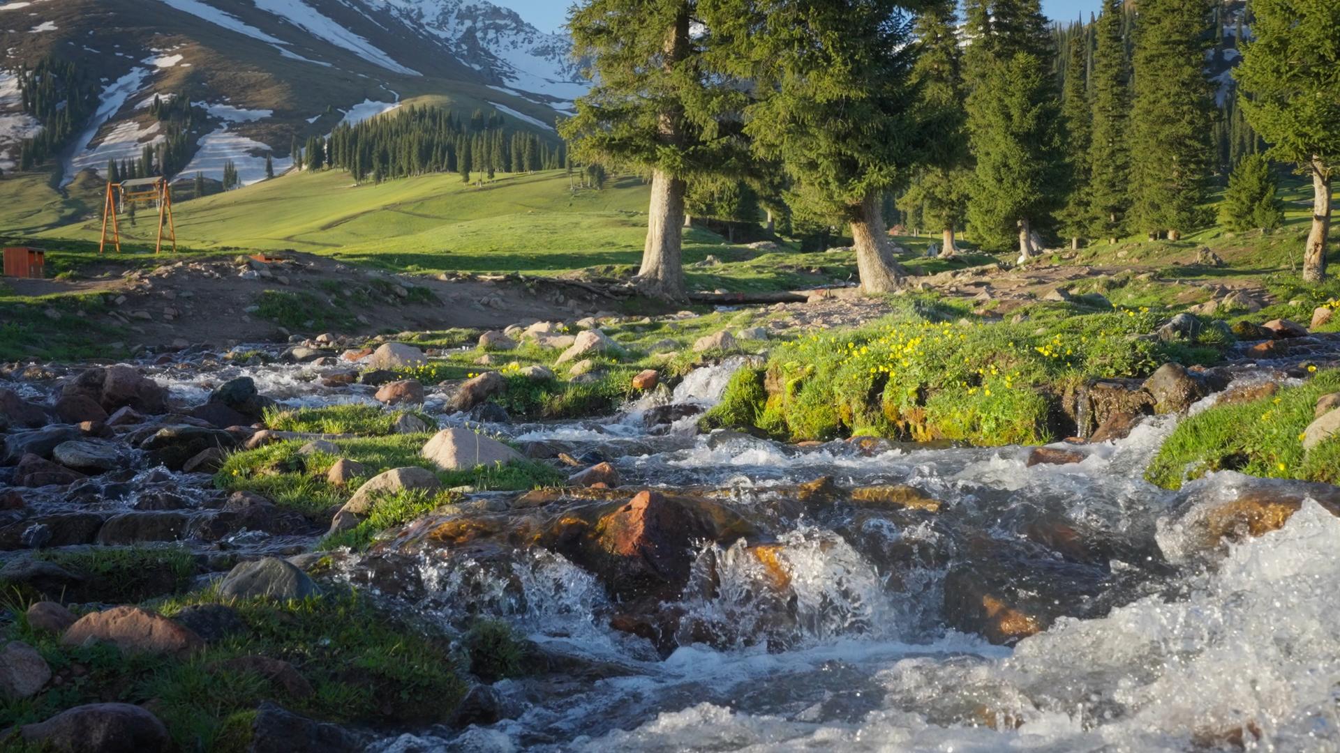 新疆伊犁那拉提草原网红桥溪流的预览图