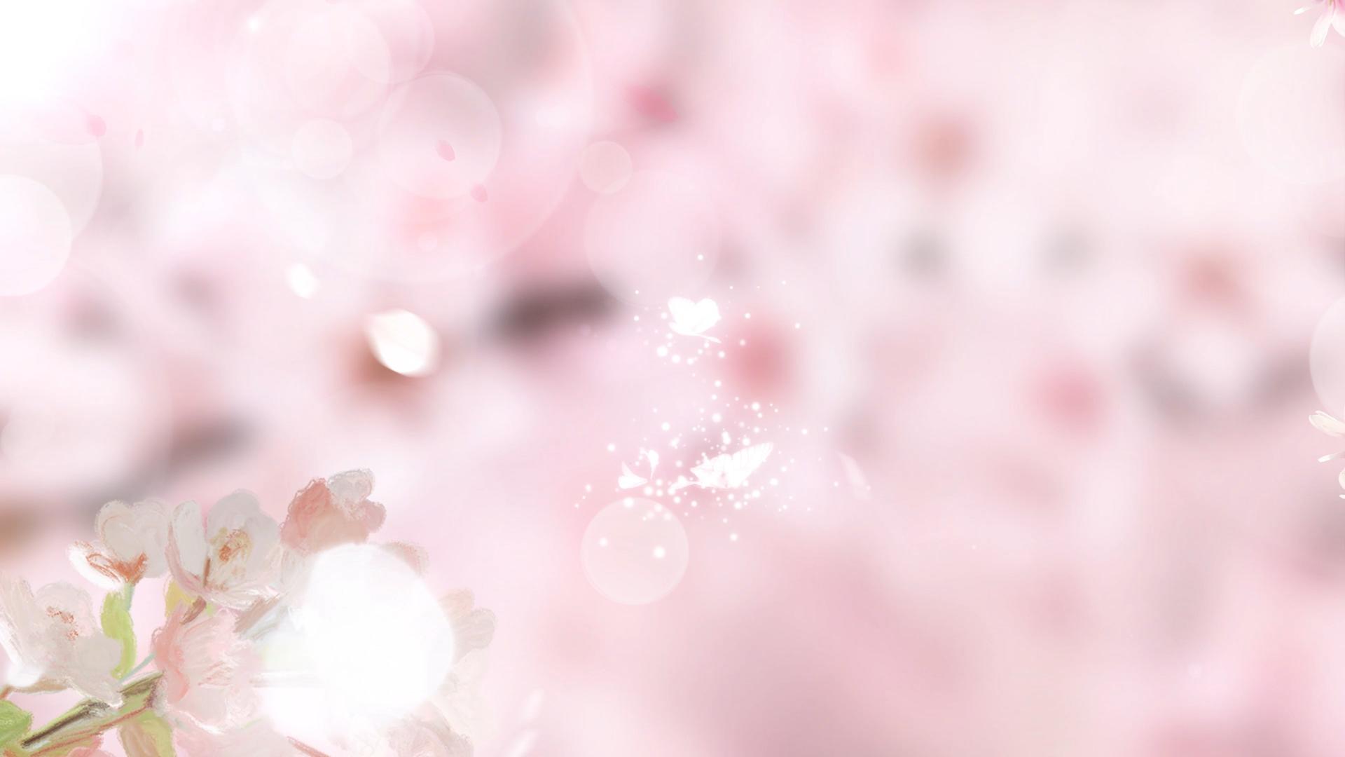 唯美樱花4K视频的预览图