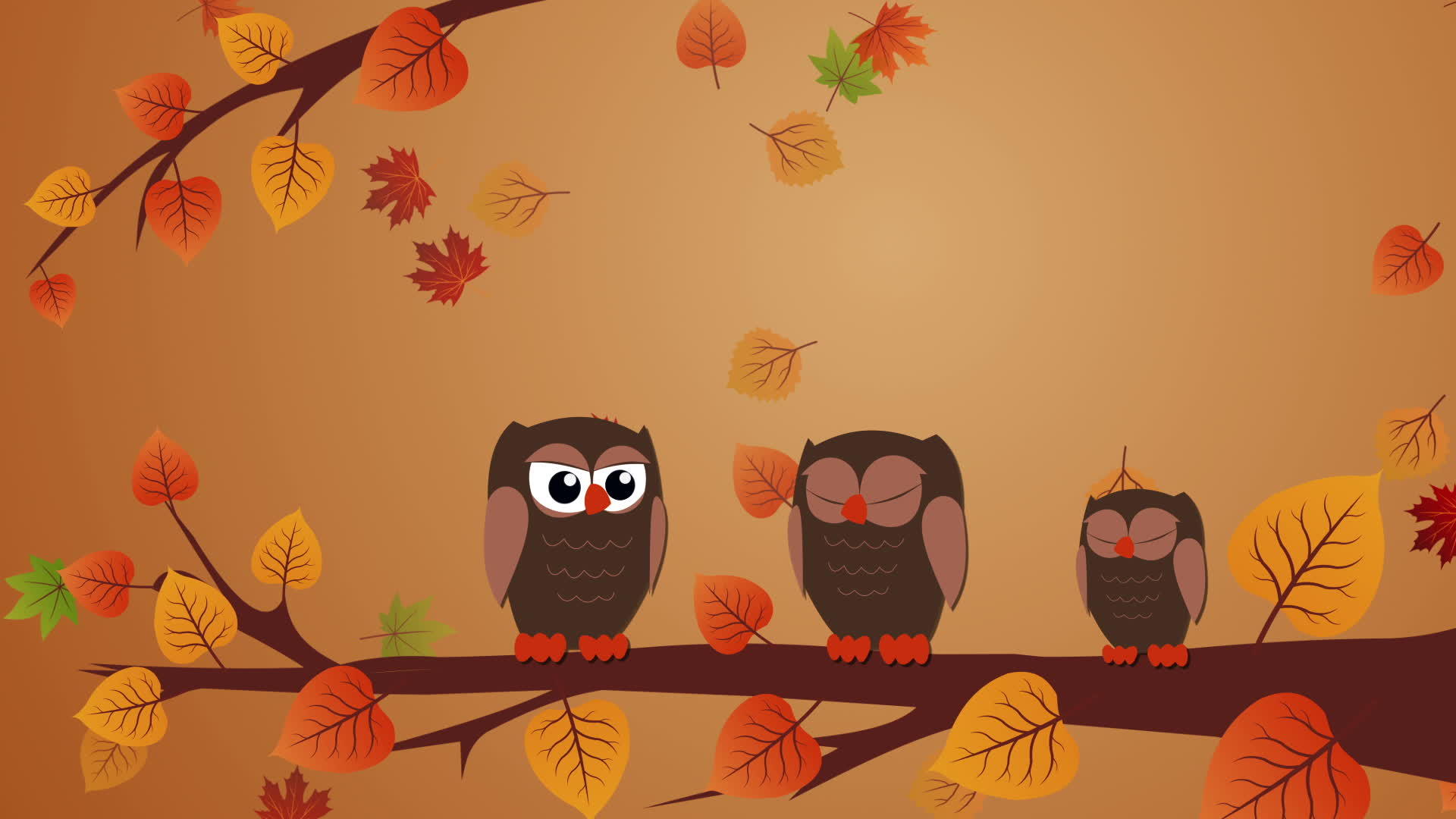 感恩节动画图形有猫头鹰和秋叶视频的预览图