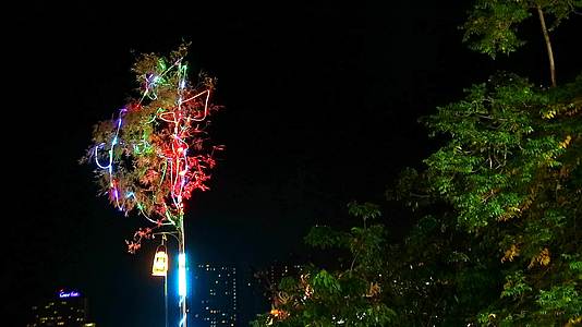 在素食节期间干竹被彩虹照亮这是上帝的赞美和祝福视频的预览图