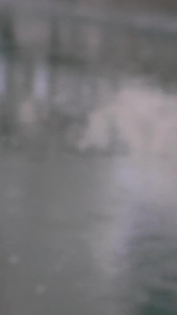 雨滴打在水面上合集视频的预览图