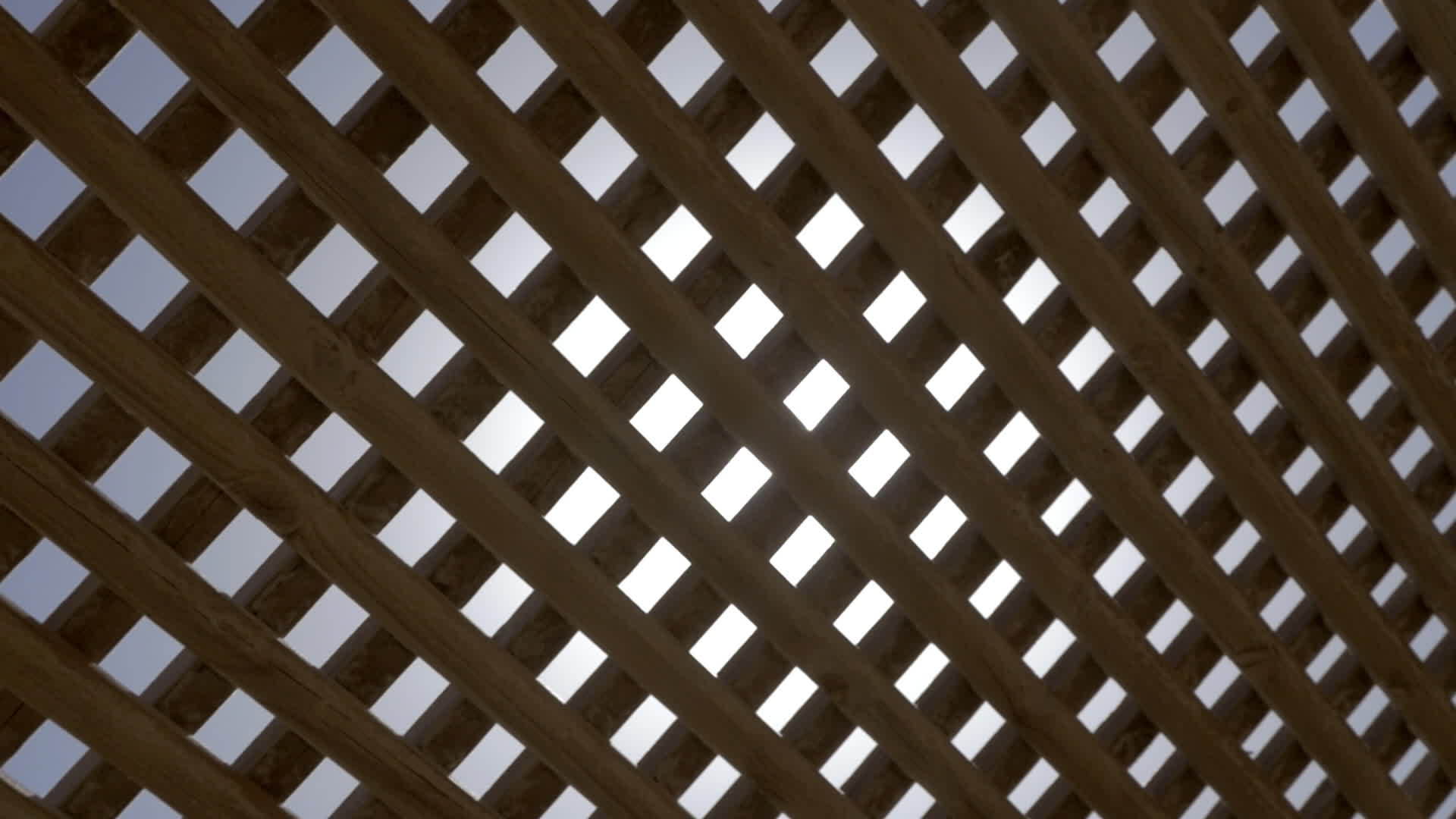 明亮的太阳照耀在木网棚里视频的预览图