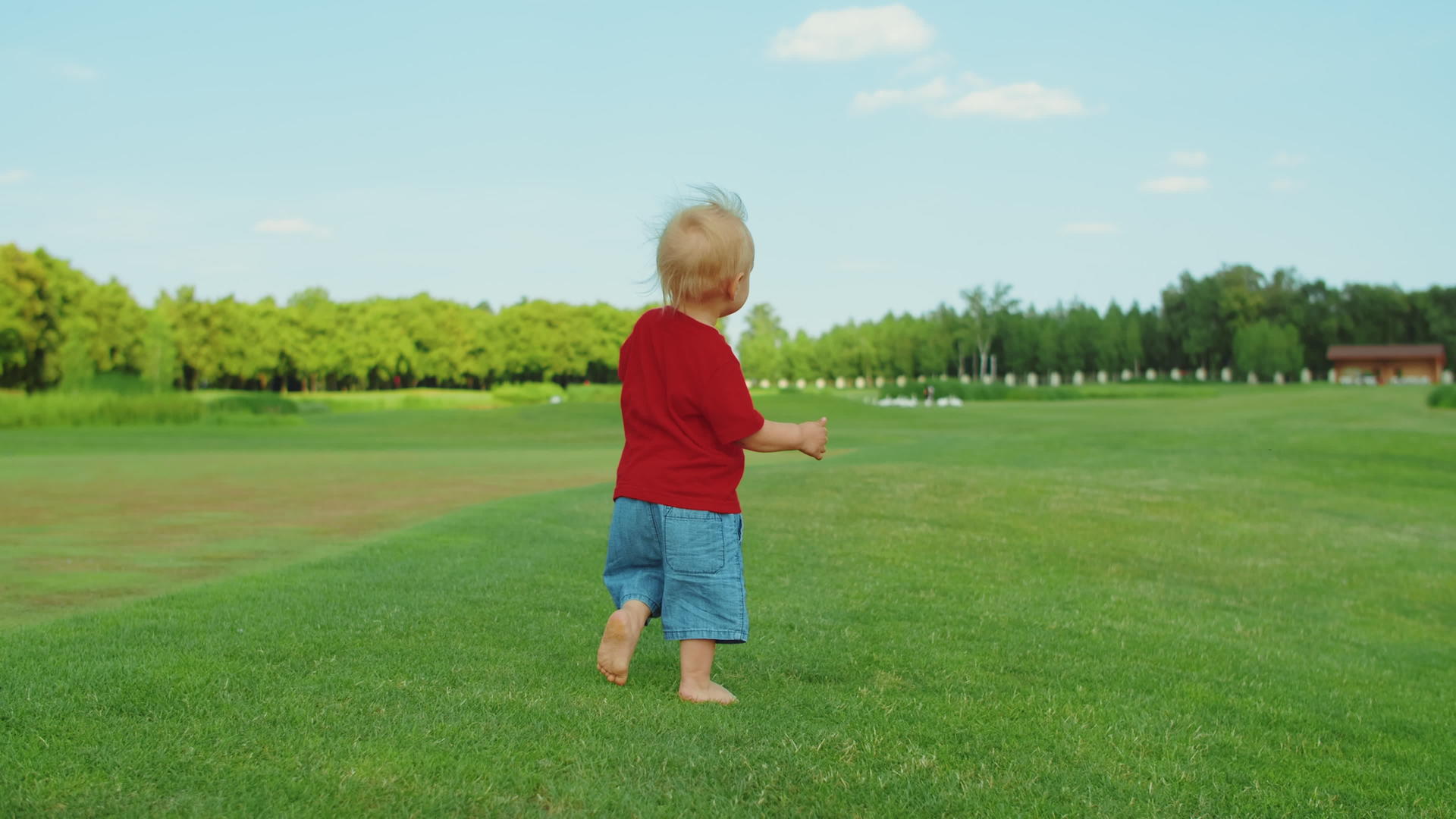 金发男孩在绿草地上玩得很开心视频的预览图