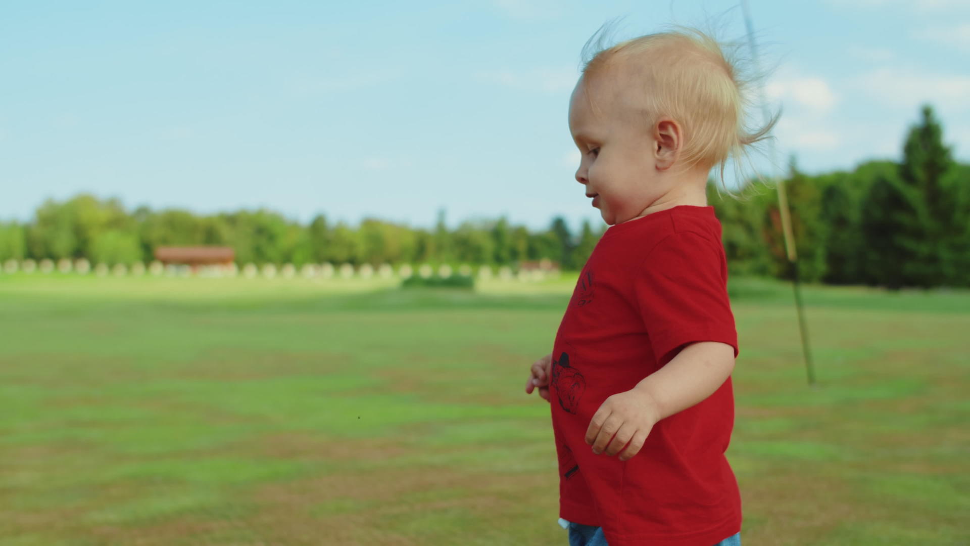 男孩在绿色的草原上奔跑视频的预览图