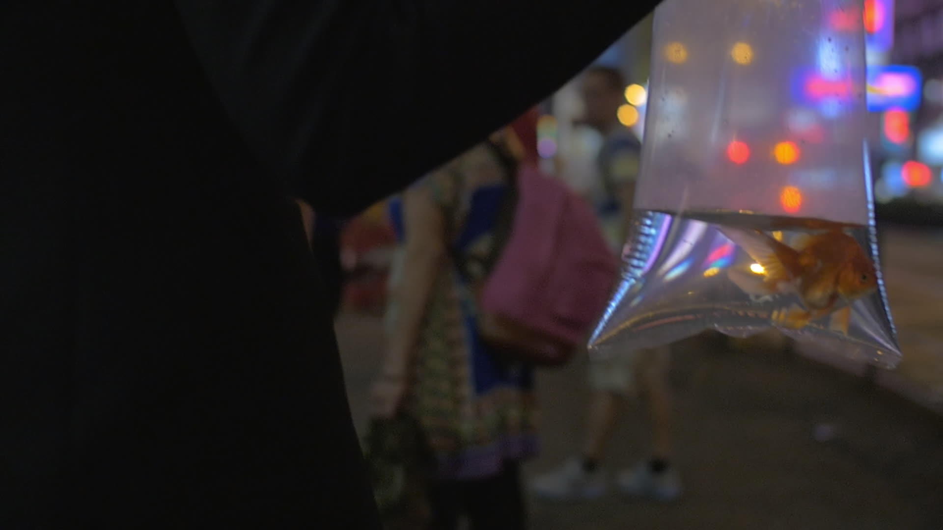 女性手臂的慢动视角携带金鱼塑料包到中国康城购物视频的预览图