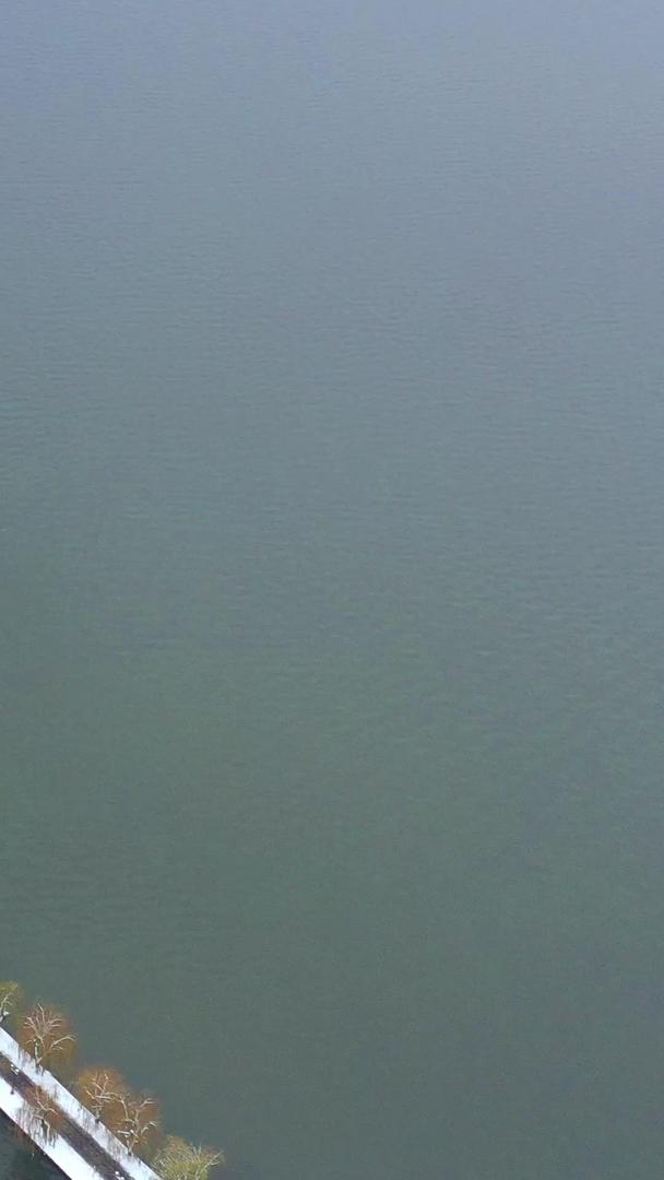 下雪天东湖自然风光航拍视频视频的预览图