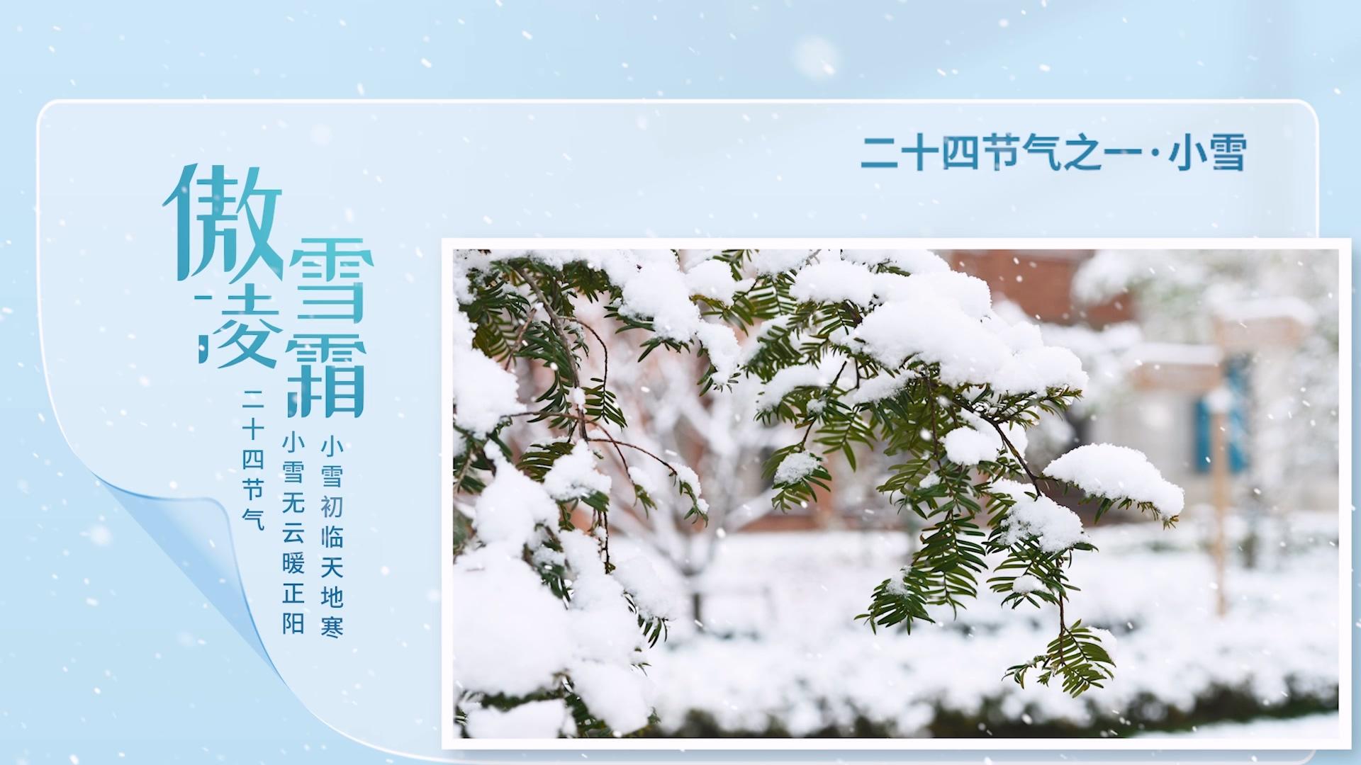 简洁清新小雪图展示PR模板视频的预览图