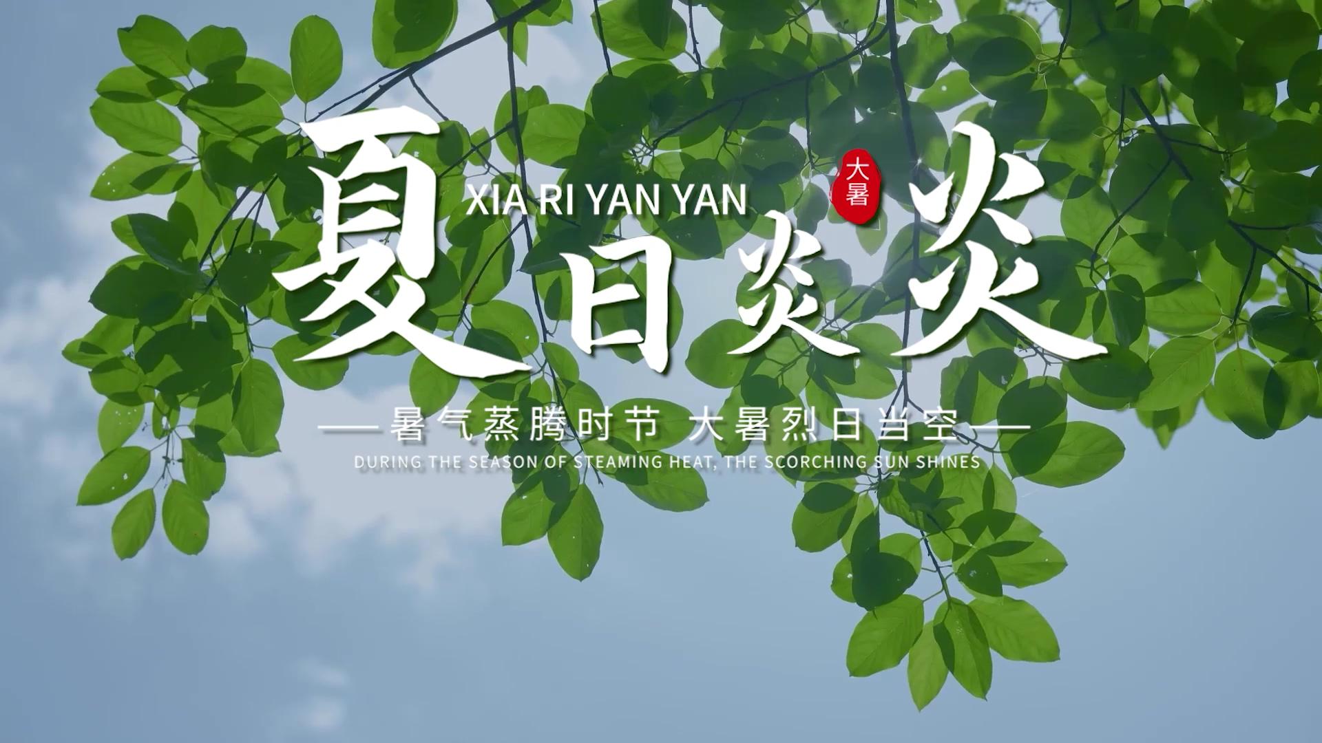 简洁大暑节气片头展示PR模板视频的预览图