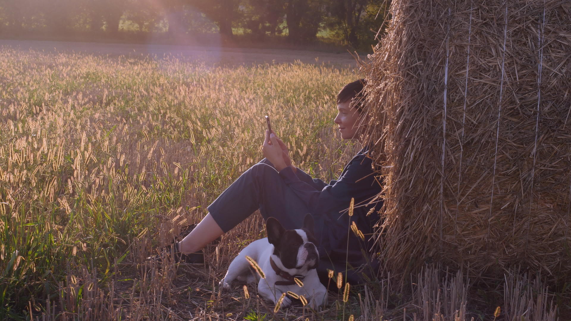 手持智能手机与法国斗牛犬在草地上游视频的预览图