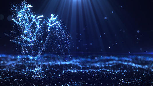 蓝色梦幻粒子树木背景视频的预览图