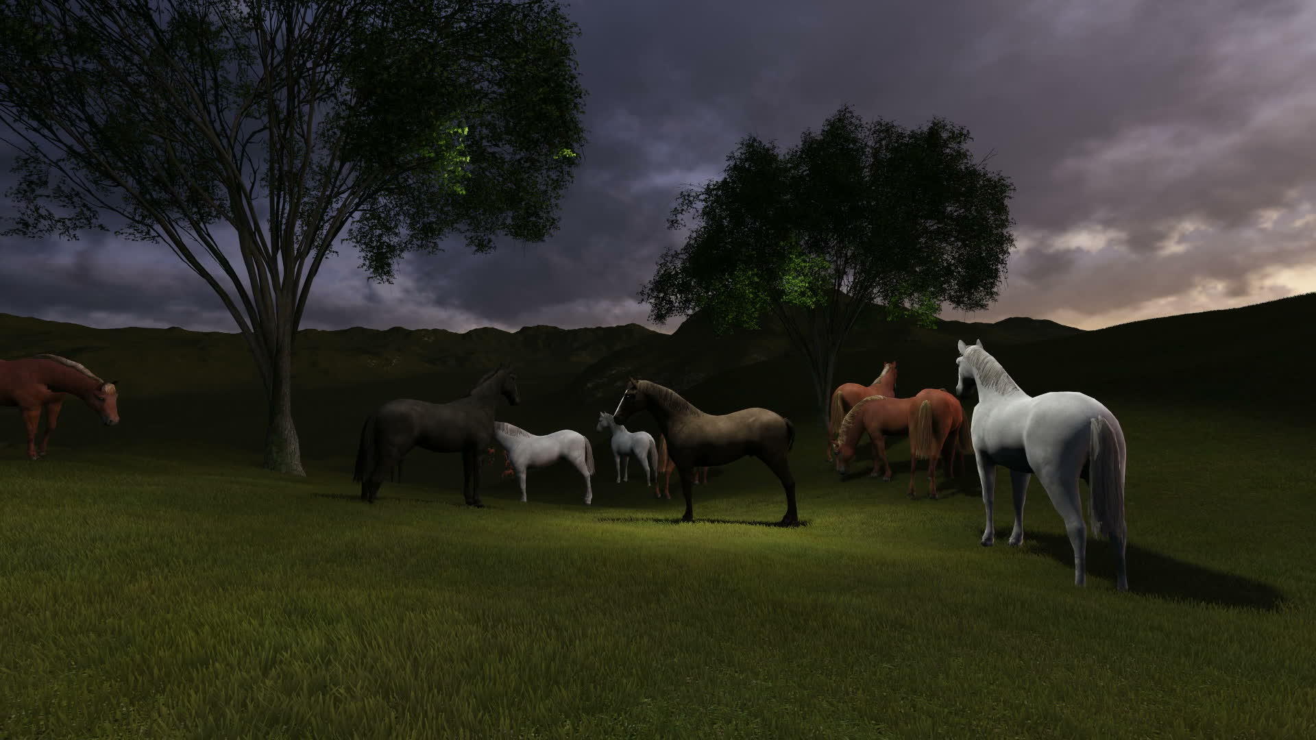 3d夜间动画场景psture一群马在夜光下的牧场上视频的预览图