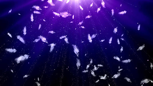 4K紫色唯美羽毛背景视频的预览图