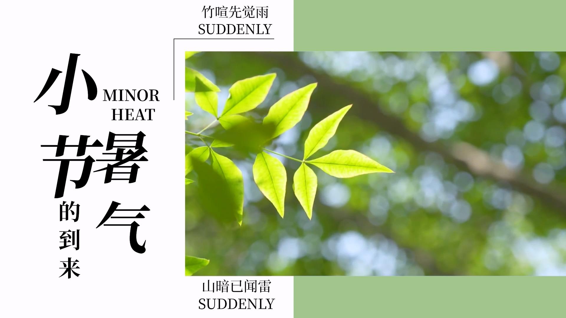 简洁小暑节气图文展示PR模板视频的预览图