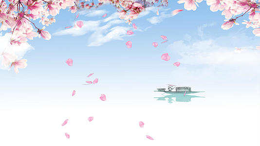 4K樱花花瓣飘落背景视频春天背景视频的预览图