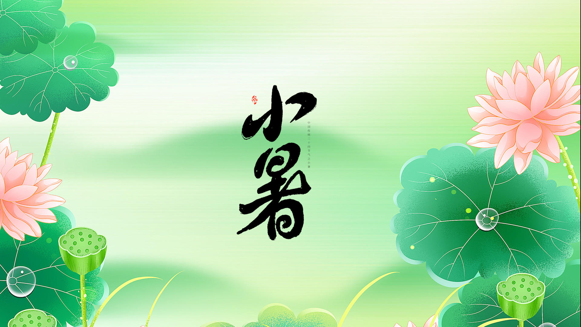夏季荷花中国风小暑片头PR模板视频的预览图