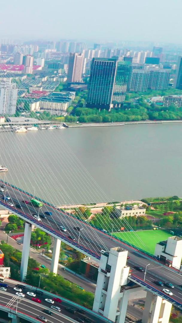 南浦大桥黄浦江上视频的预览图