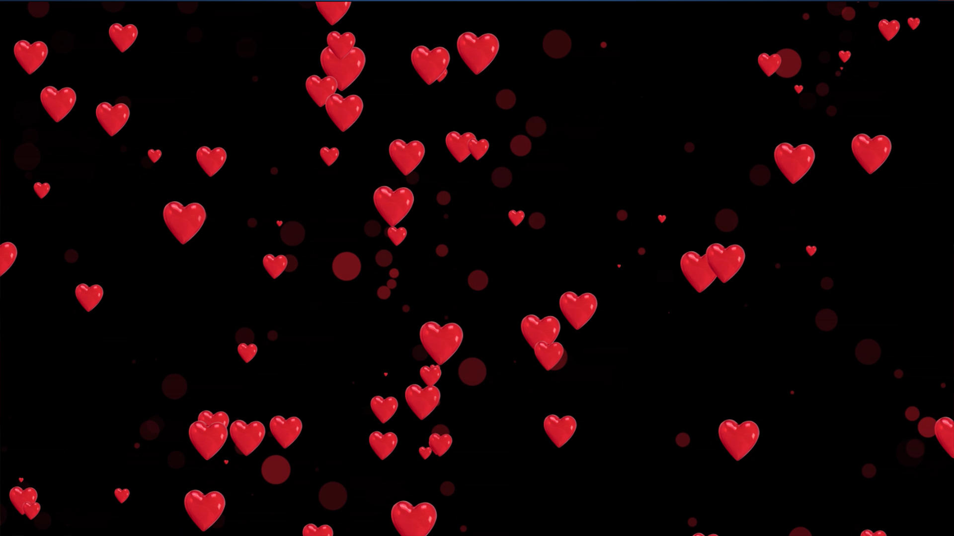 粒子红心动画元素带透明度视频的预览图
