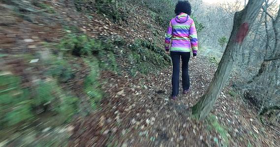 女性电影制片人在森林中徒步旅行视频的预览图