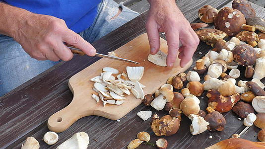 用刀切蘑菇的手特写镜头小心地在厨房木板上切下野外视频的预览图