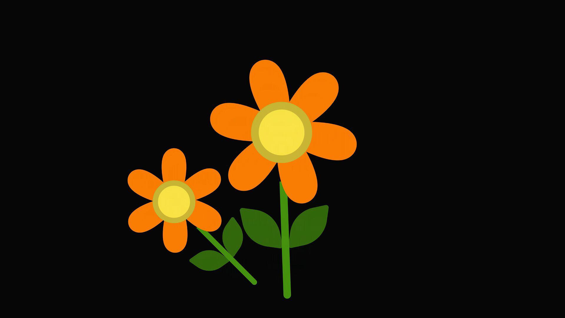 mg动态小花朵生长视频素材视频的预览图