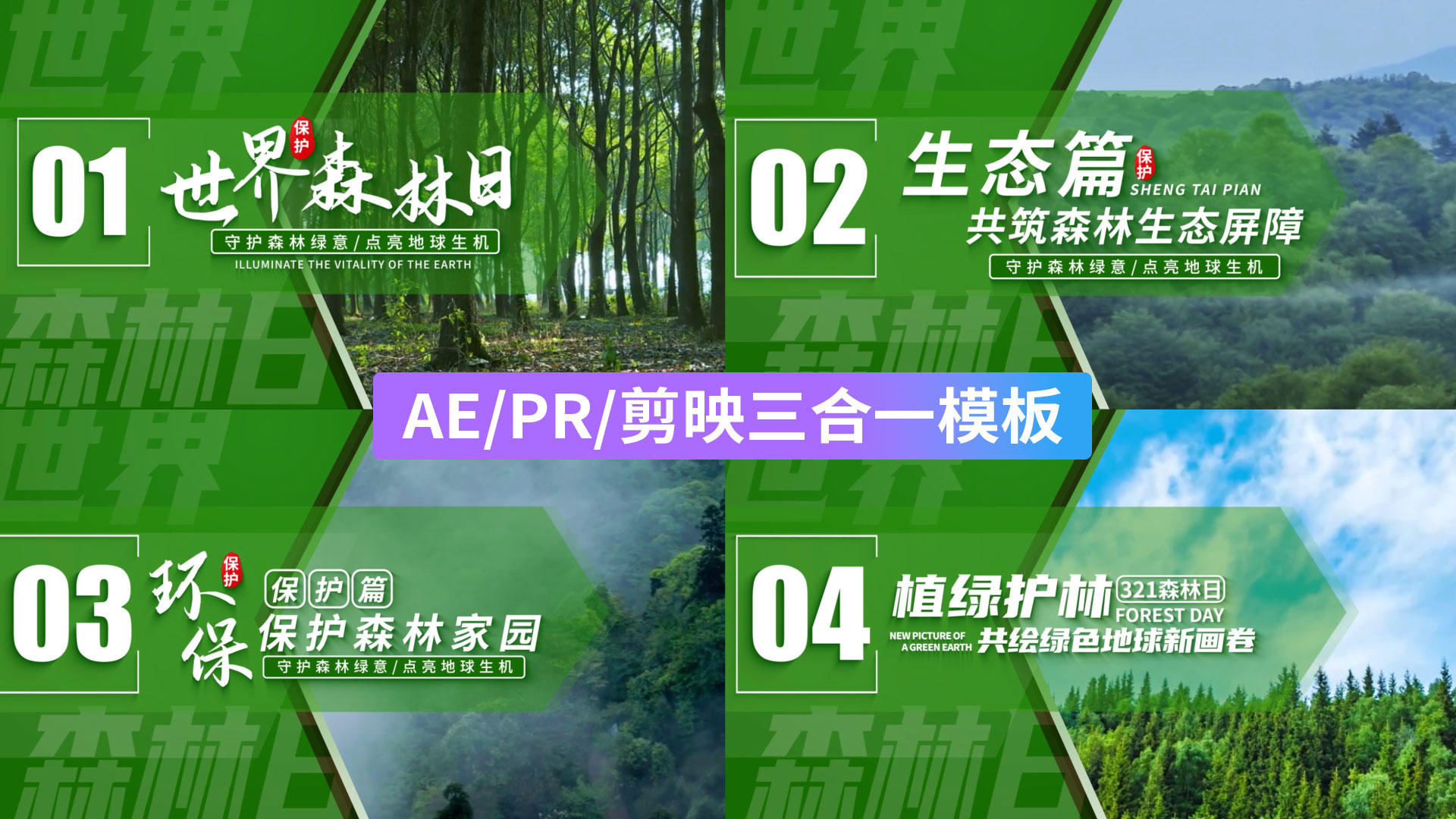 绿色清新世界森林日海报AEAEPR剪影三合一模板视频的预览图