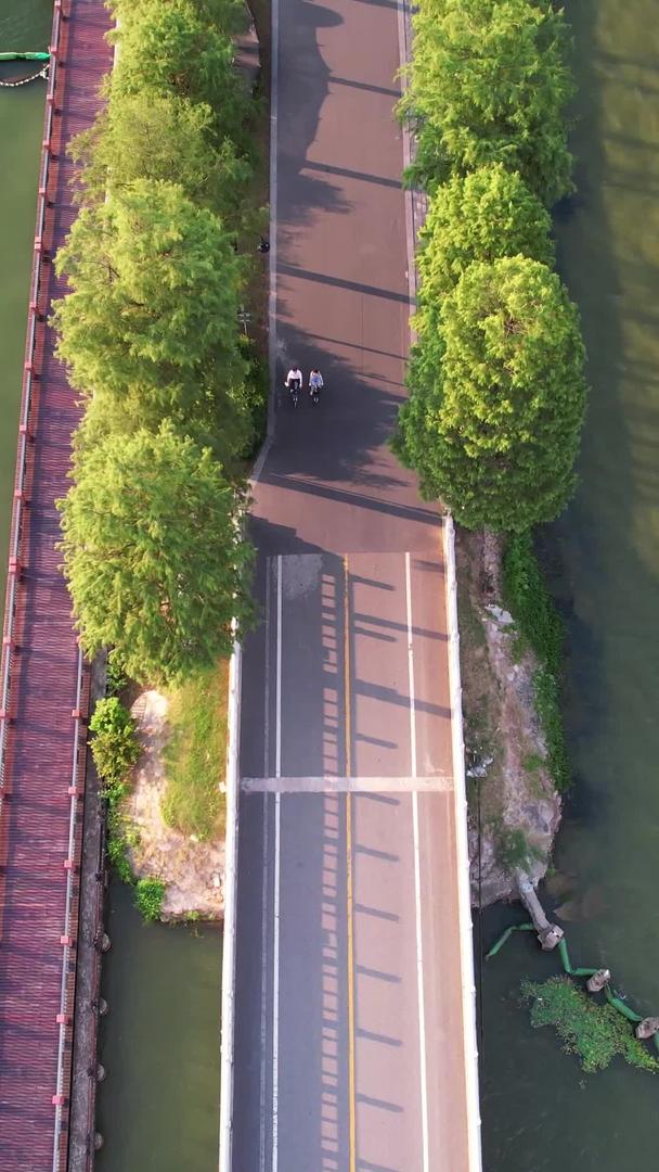 湖北5A级旅游景点东湖绿道上跑步运动健身街景素材视频的预览图