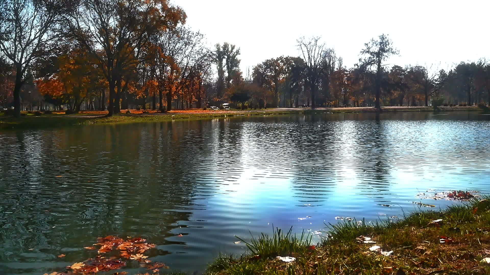 秋季国家公园视频的预览图
