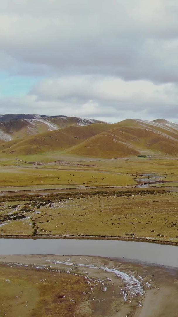 川西高原若尔盖大草原湿地风景视频视频的预览图