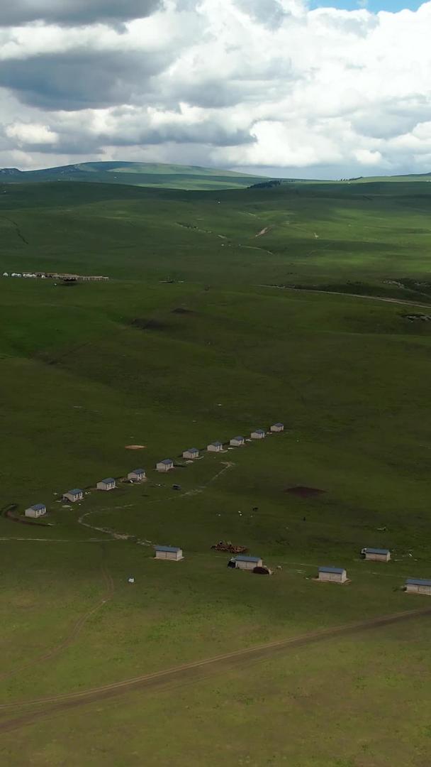 5A景区伊犁喀拉峻草原航拍视频视频的预览图