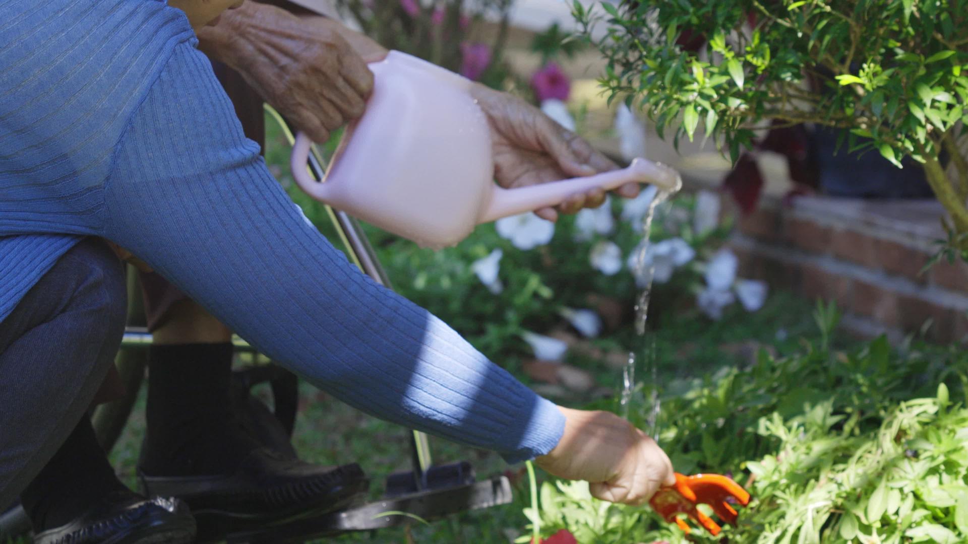老年妇女在后院种植园艺放松视频的预览图