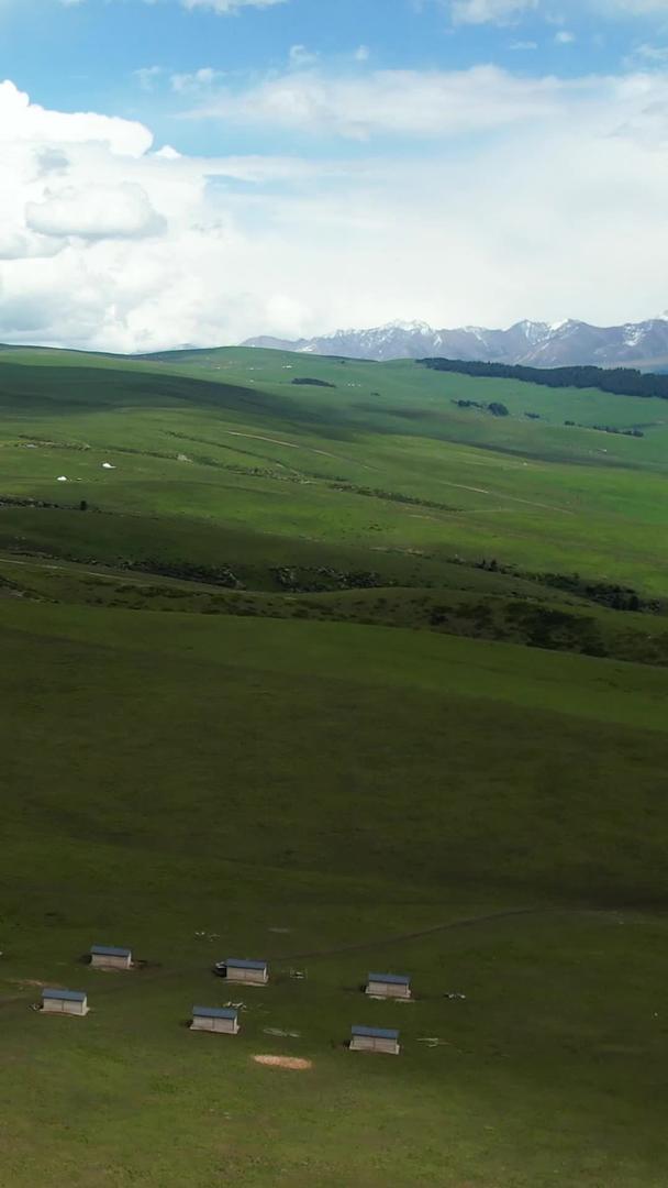 5A景区伊犁喀拉峻草原航拍视频视频的预览图