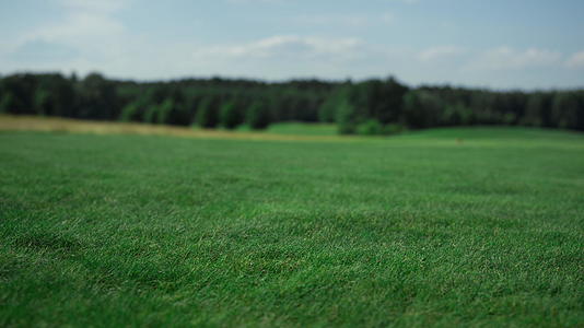 绿色高尔夫球场草草生长在球道上视频的预览图
