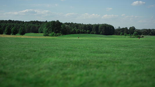 球道景观在乡村俱乐部打高尔夫球视频的预览图