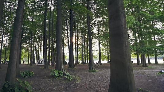 在湖边的森林里露营视频的预览图