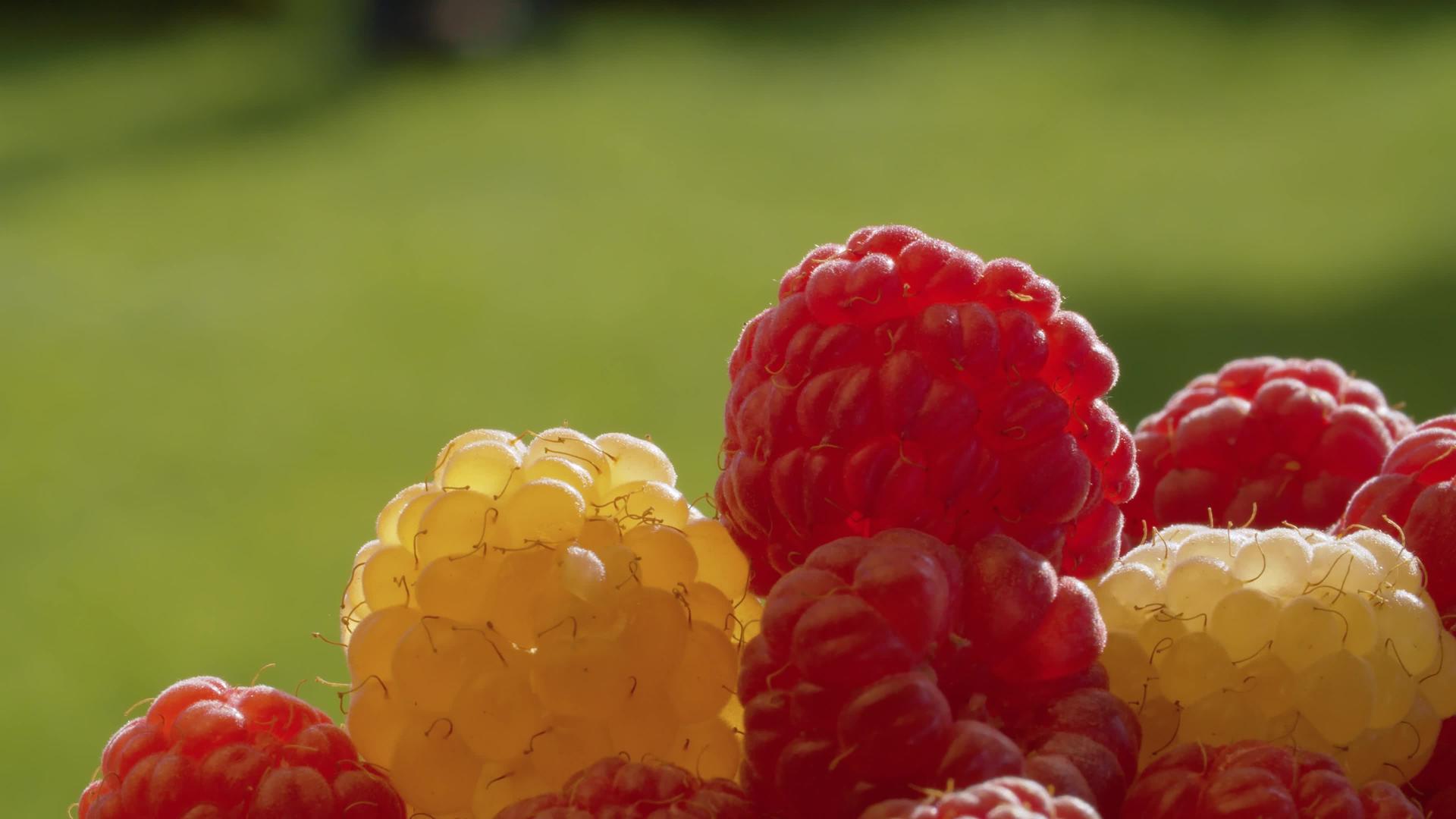 熟红黄草莓视频的预览图