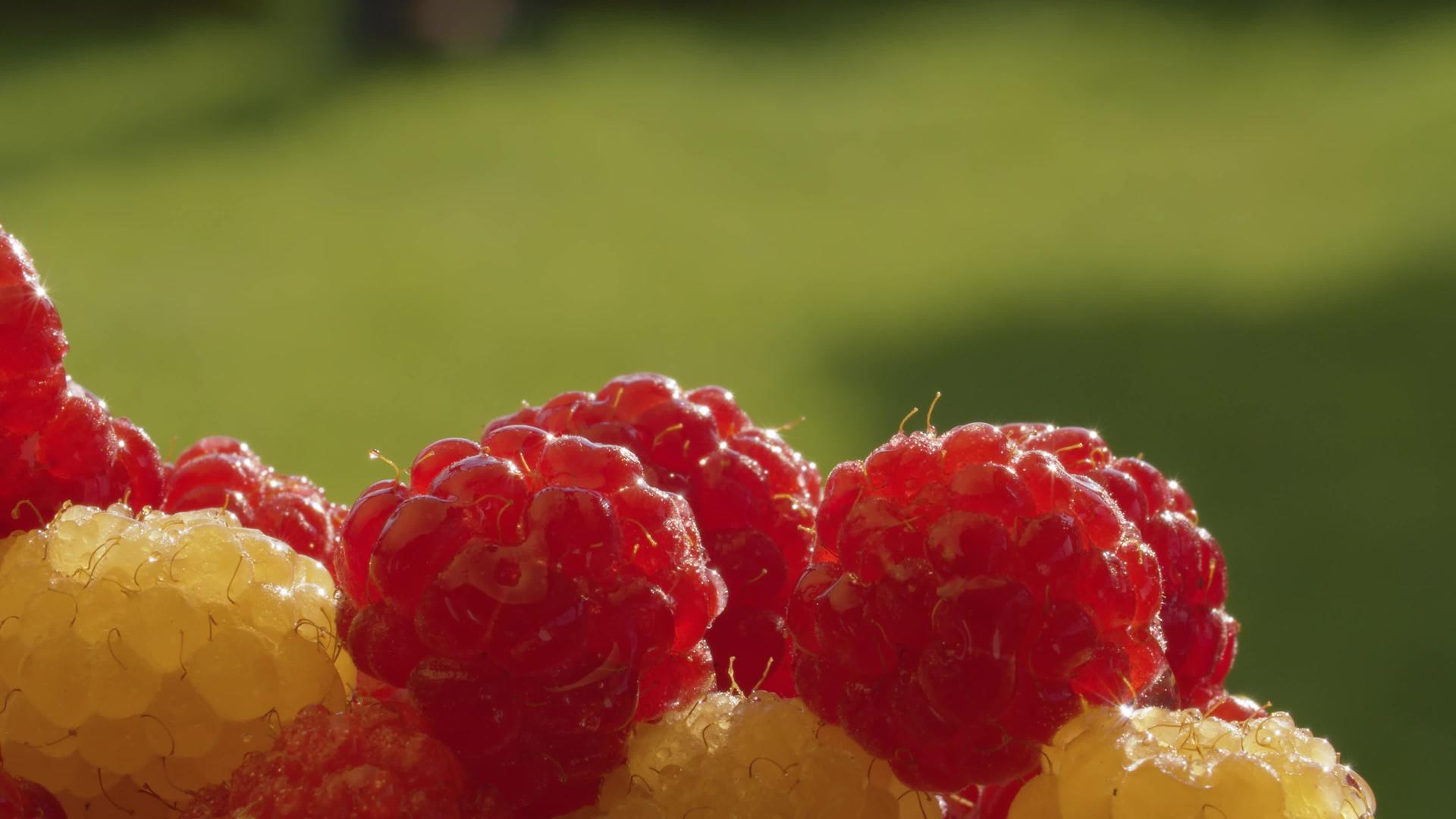 熟红黄草莓视频的预览图