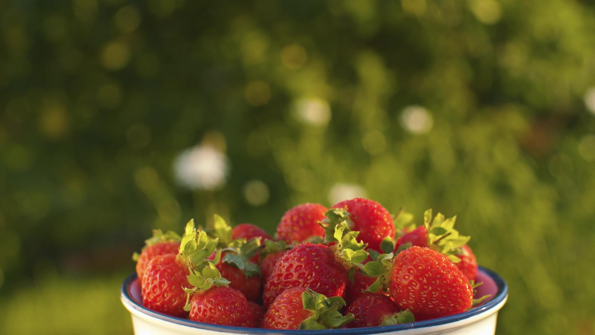 碗中新鲜成熟的草莓视频的预览图