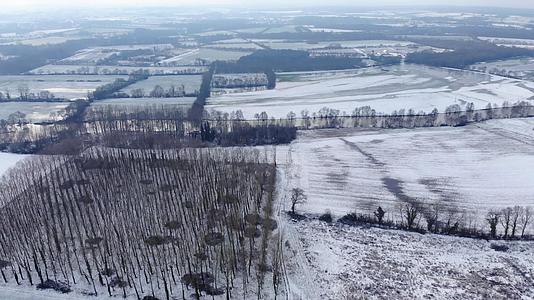 冬天法国白雪皑皑的乡村通过针叶林的全景道路视频的预览图