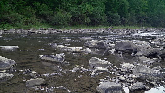 夏天自然中美丽的溪流视频的预览图