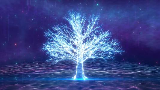 美丽的粒子树木旋转生长舞台背景视频的预览图