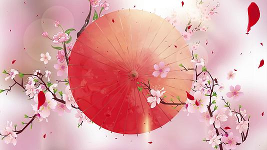 4K樱花粉红花瓣飘落背景视频视频的预览图