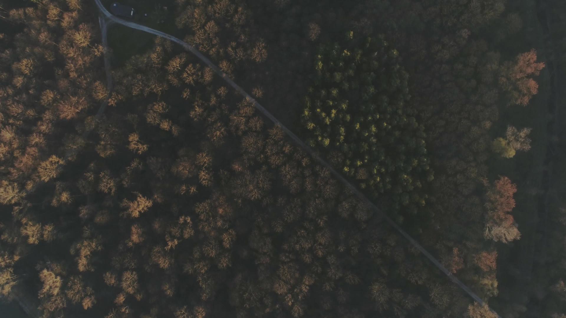 日落时没有人驾驶无人驾驶飞机飞越森林视频的预览图