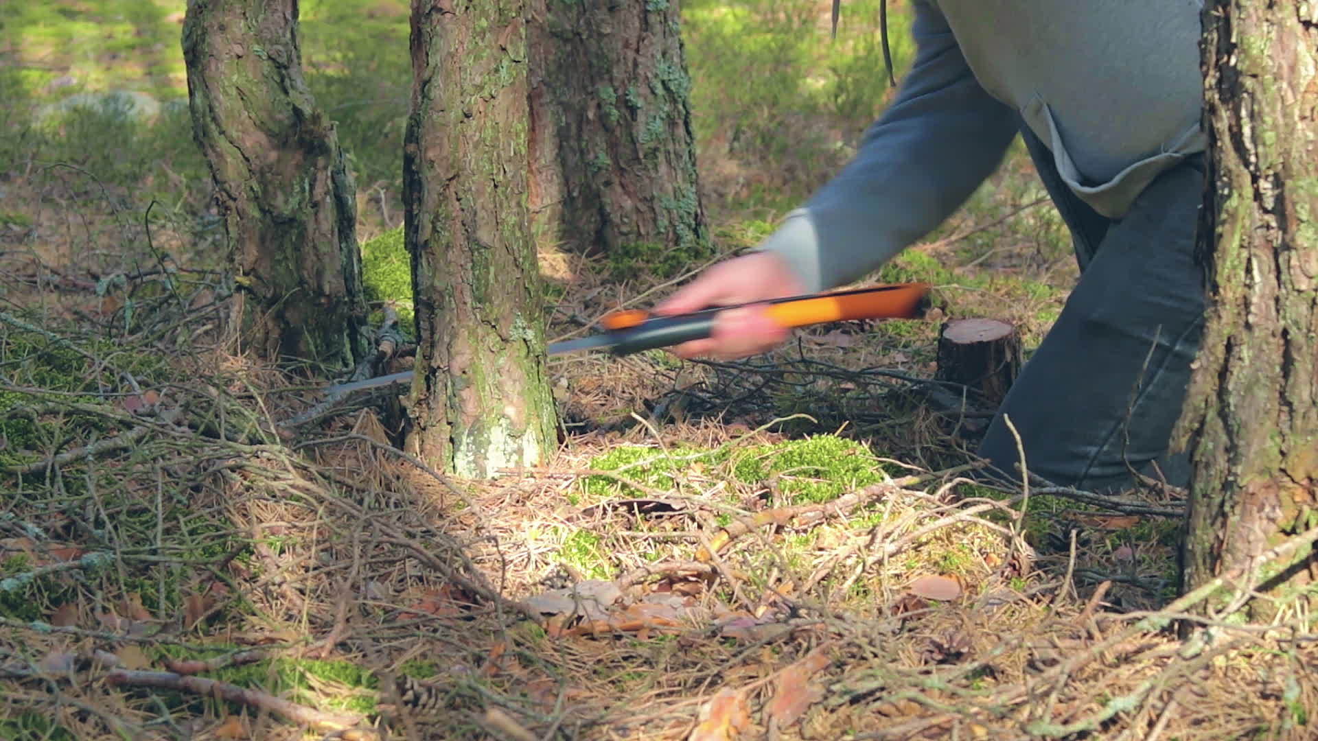 游客在森林里锯木做火视频的预览图
