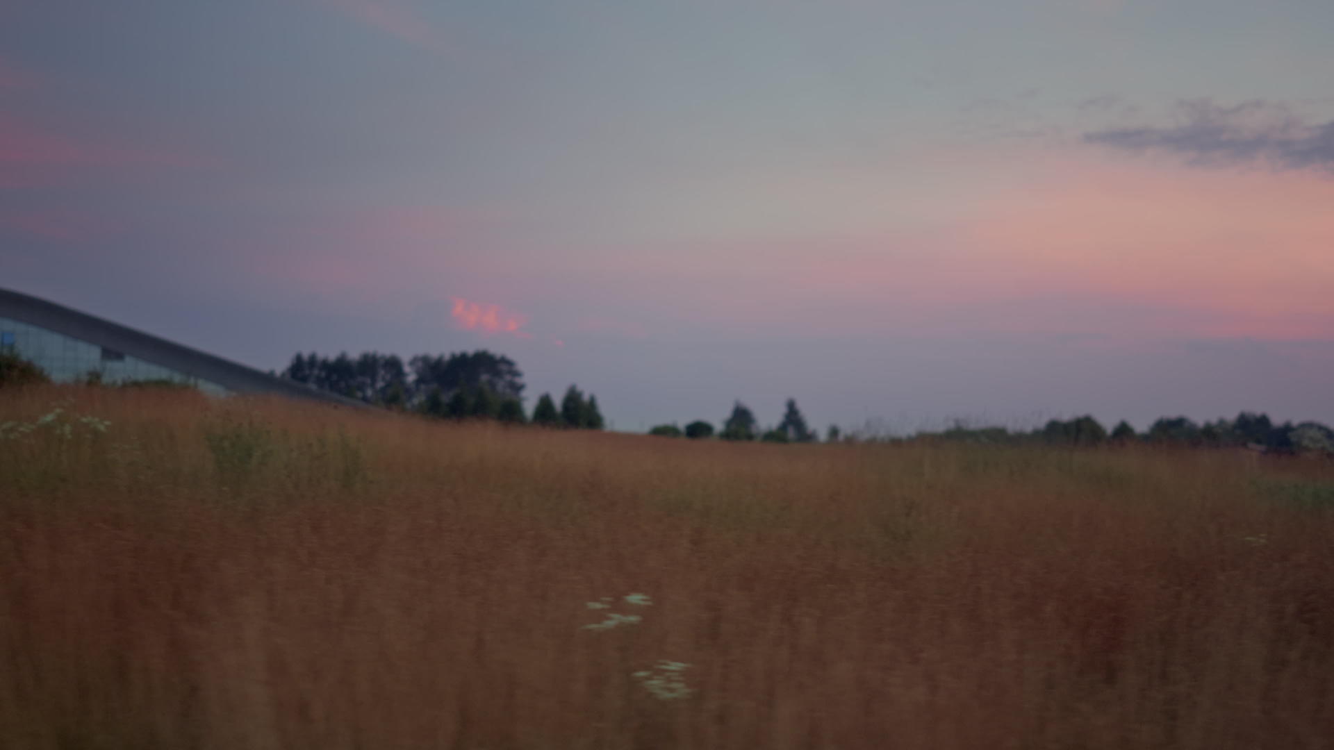 金草日落景观在高尔夫公园视频的预览图