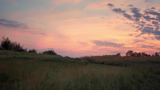 美丽的粉色天空日落草甸视频的预览图