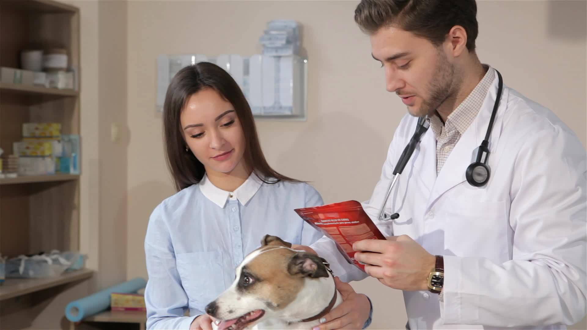 兽医告诉主人如何治疗她的狗视频的预览图