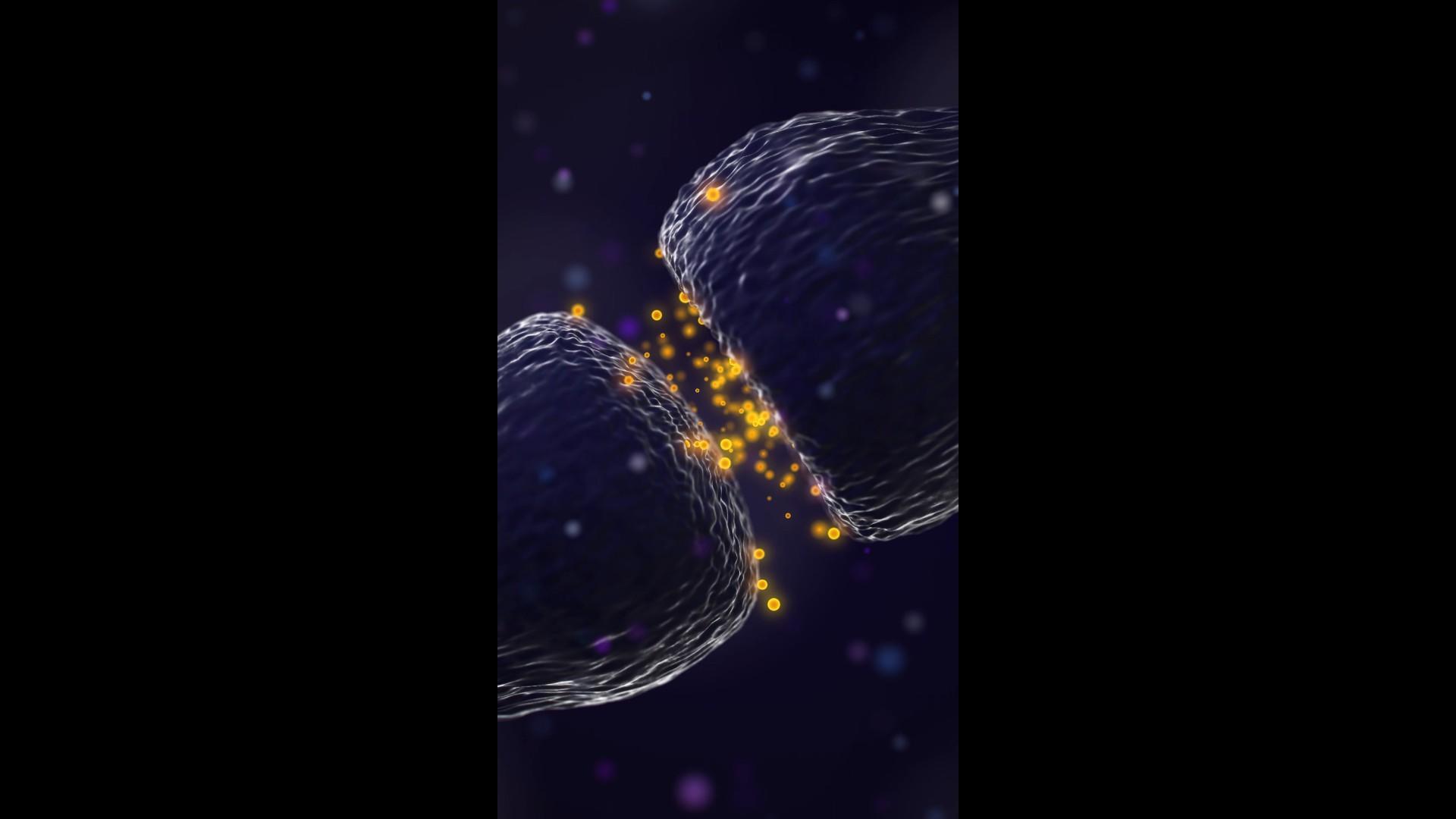 粒子动态特写分子背景视频的预览图